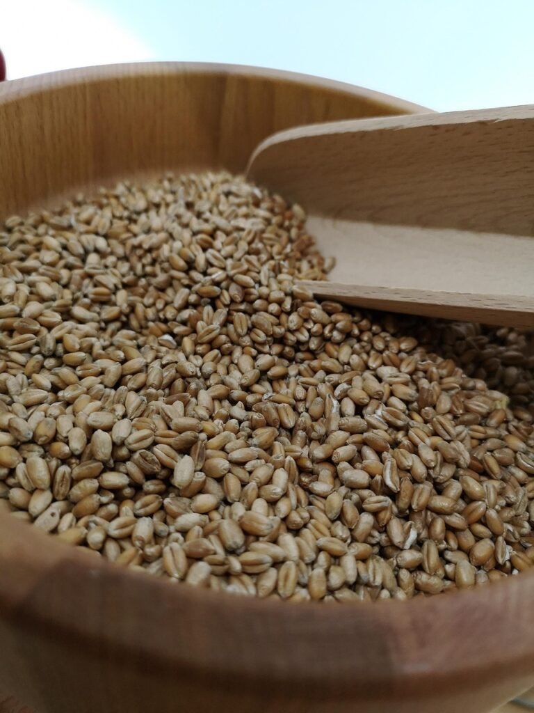 grain, wheat, food, landscape, harvest, fields, cornfield, flour mill, flour mill, flour mill, flour mill, flour mill, flour mill